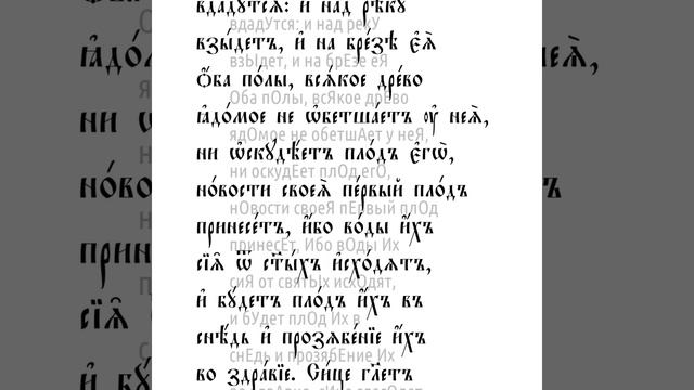 Книга пророка Иезекииля. Глава 47 смотреть онлайн