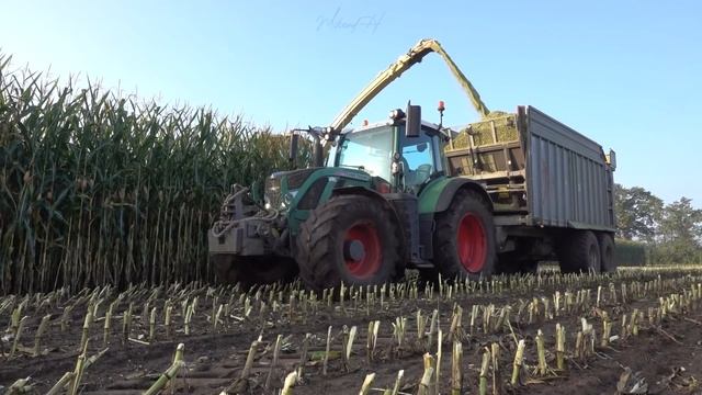 Mais Silage 2021 with a Fendt STUCK in the MUD! | Krone BiG X 780 + 12 Rows смотреть онлайн