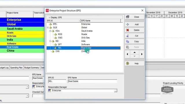 Free Primavera p6 tutorial: EPS (Enterprise Project Structure) смотреть онлайн