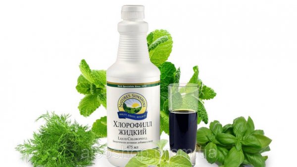 Готовимся к осени