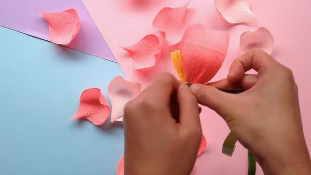 Papetal - Introduction to Paper Flowers - ATTACHMENT смотреть онлайн