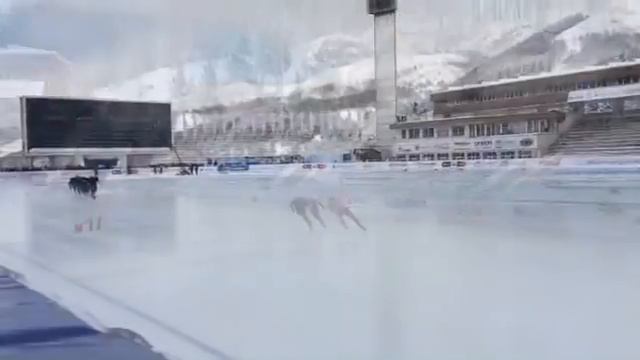 УНИВЕРСИАДА 2017/конькобежный спорт смотреть онлайн