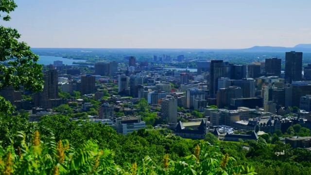 MONTREAL ?? Drone Aerial 4K | Montréal Canada Quebec 2023 смотреть онлайн