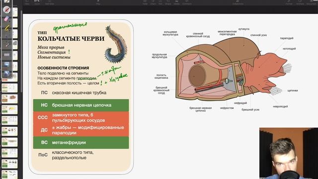 Ароморфозы Кольчатых червей | Биология ЕГЭ смотреть онлайн