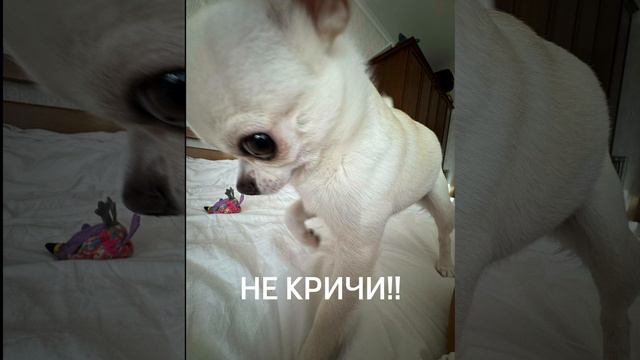 извините я должна была это сделать смотреть онлайн