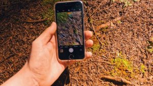 1 ДЕНЬ с iPhone 7 в 2024 году, так ли хорош iphone 7 спустя 8 лет?!