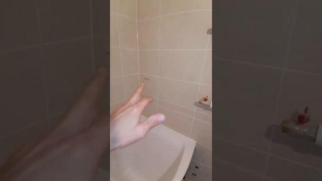 Укладка керамогранитной плитки в санузле смотреть онлайн