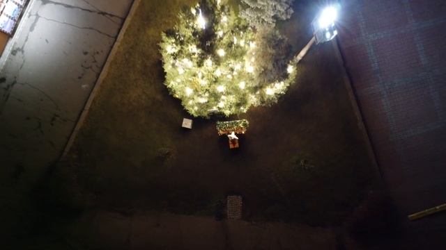 Обыкновенная лисица смотреть онлайн