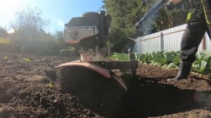 Мотокультиватор Тарпан в деле.