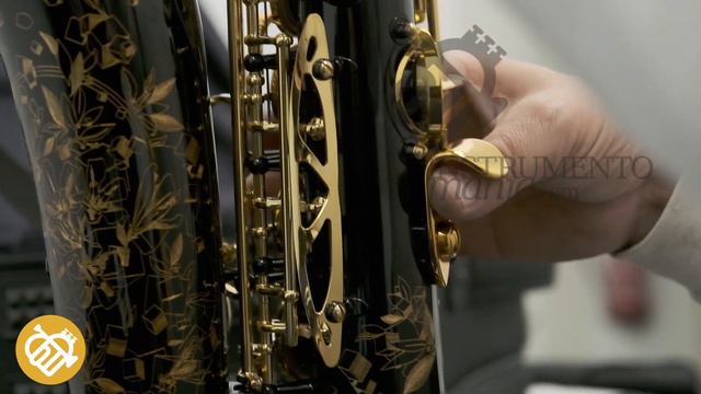UNBOXING SAXOFÓN ALTO SUPREME NGGO смотреть онлайн