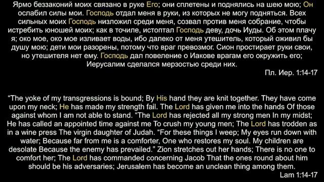 "Наше же жительство на небесах" | Владимир Мицук смотреть онлайн