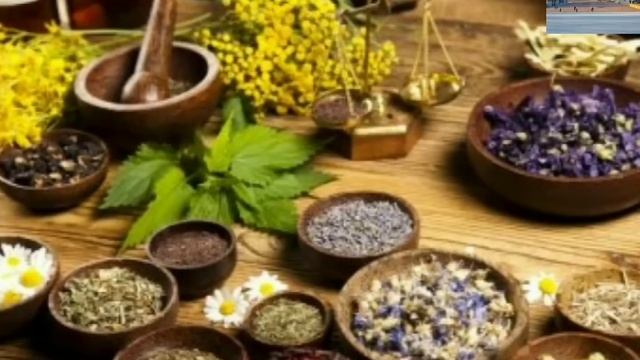 Abu Ali Ibn Sinoning Hayoti Va Ijodi #IbnSino #Tabobat #Tarixiyvideolar