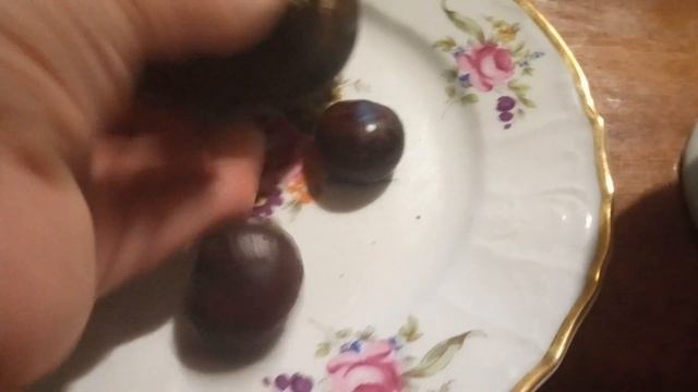 Редкий, огромный плод каштана,который не помещается в ладони. смотреть онлайн