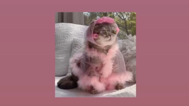 ✨песни для уборки и для танцев✨ смотреть онлайн