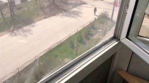 Как установить антимоскитную сетку на пластиковое окно/ бюджетный вариант за 100₽/москитная сетка