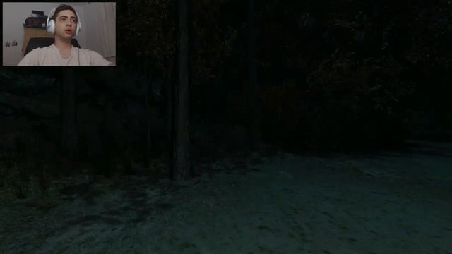 PASSING PINEVIEW FOREST - SOBREVIVI! #2 / FINAL смотреть онлайн