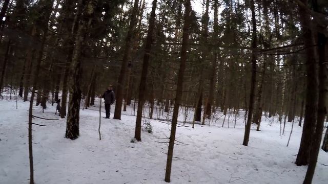 Притравка Дратхаара по кунице. смотреть онлайн