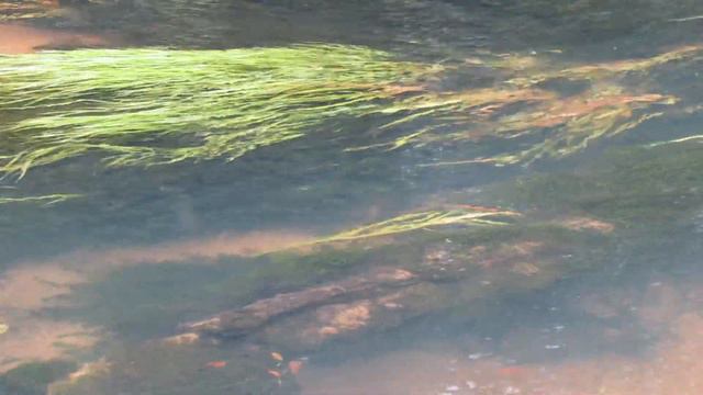 На берегу очень тихой реки смотреть онлайн