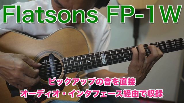 【Matonピックアップ音がいいってホント？】Maton AP5 PRO,DOUBLE G0,Flatsons FP-1W音比較