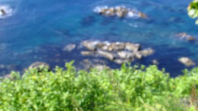 Морской шиповник - 25 август 2022 г. Японское море - Прогулки пешие - Hiking - Nature - Japan sea - смотреть онлайн