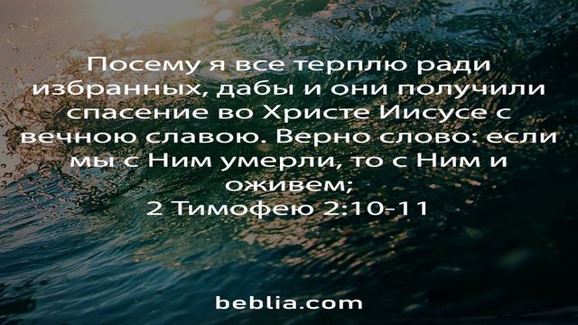2 Тимофею 2:10-11 - Священный Библейский Стих #Библия #Бог #Иисус #церковь [SD] смотреть онлайн