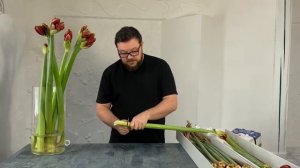 Правила работы с Амариллисами (Гиппеаструмами)