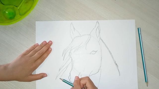 КАК НАРИСОВАТЬ ЛОШАДЬ,РИСУЕМ ЛОШАДЬ КАРАНДАШОМ. смотреть онлайн
