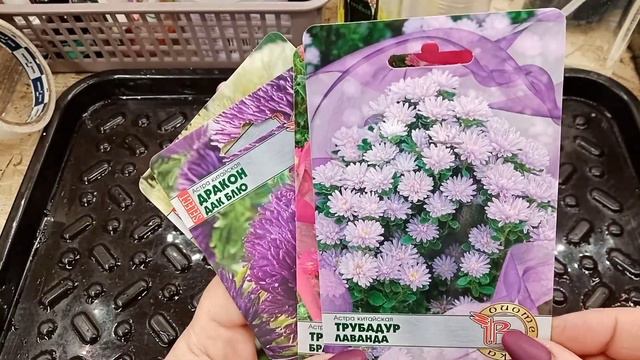 Информация для покупателей.🍅Обзор на всходы высокорослых томатов.🌺Пора сеять астры.😍 смотреть онлайн