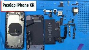 Разборка и сборка iPhone XR