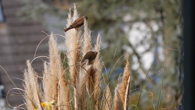 Влияет ли воздержание на пол ребенка? смотреть онлайн