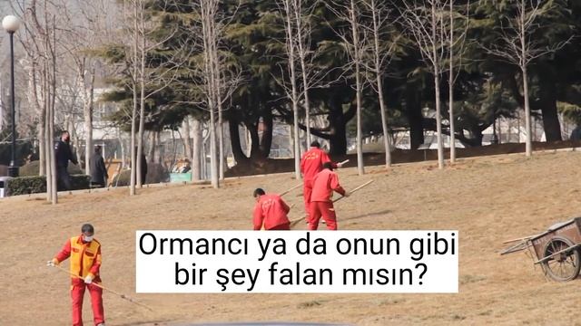 ПРОФЕССИИ на турецком, часть 2!