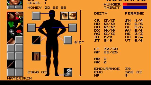 Let's Play Realms of Arkania 1 - S1P3 - Old Ugdalf смотреть онлайн