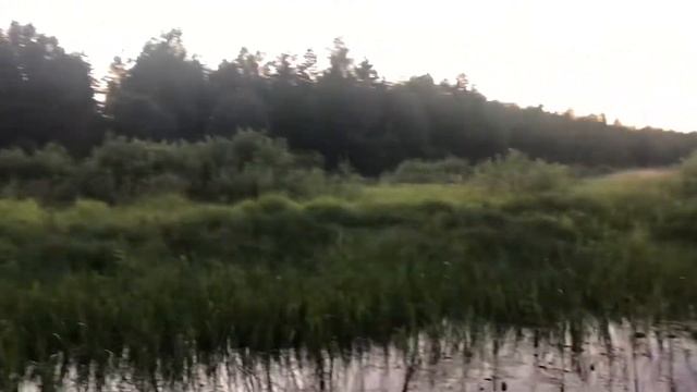 Река Серемуха, Селигер 2020 смотреть онлайн