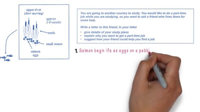 2.1- IELTS Academic Writing Task I смотреть онлайн