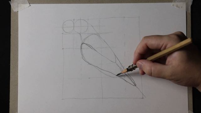 Как нарисовать птицу ИВОЛГА карандашом. Часть 1 смотреть онлайн