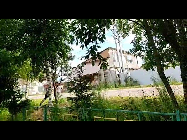 Зомби заражение и магическая монета. Серия 1.