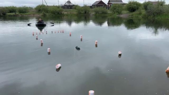 Соревнования 12 июня смотреть онлайн