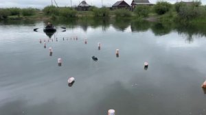 Соревнования 12 июня