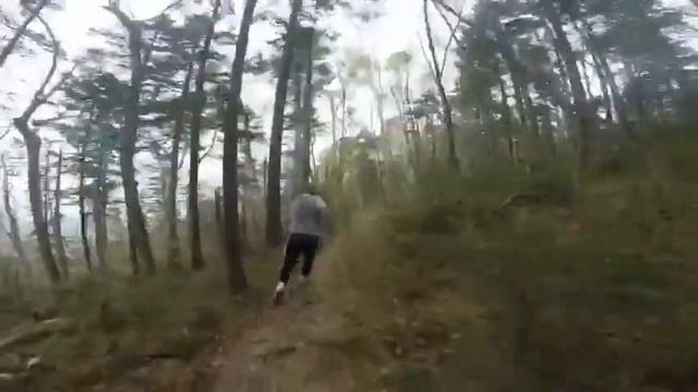 Бег по лесу #GoPro смотреть онлайн