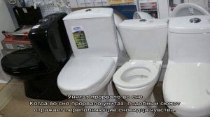 «Сонник Унитаз приснился, к чему снится во сне Унитаз»