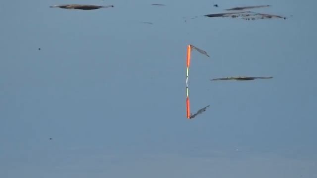 Где ловить карася весной на поплавочную удочку? смотреть онлайн