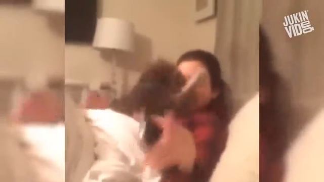 Пакости домашних животных смотреть онлайн