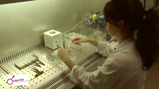 La biologie végétale un allié durable contre le cancer смотреть онлайн