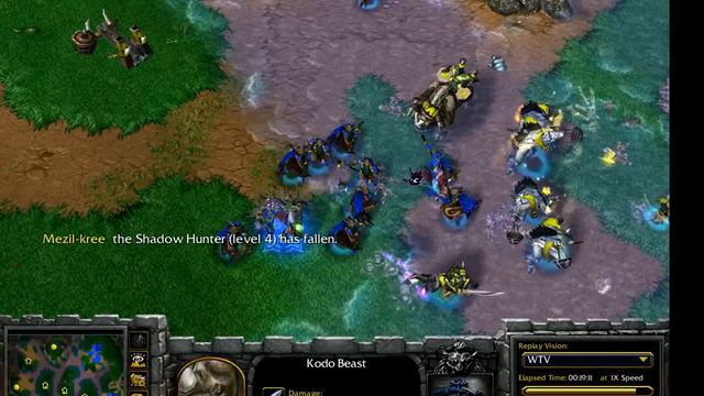 Warcraft III WC3 TFT Future vs Remind Part 3of3 Ancient Isle смотреть онлайн