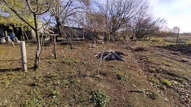 Чем мы заняты на Юге в ноябре. Особенно интересно будет Сибирякам ? смотреть онлайн