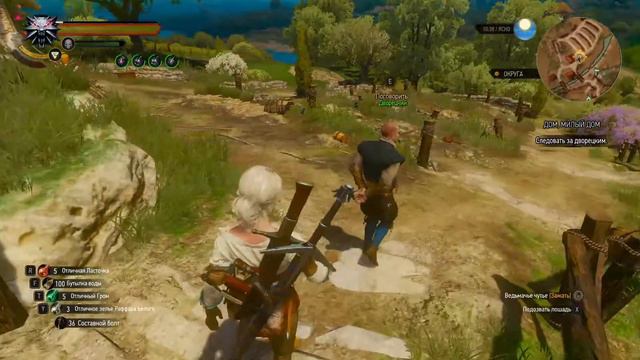 The Witcher 3 Wild Hunt  