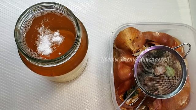 ЗАМИОКУЛЬКАС БУДЕТ РАСПИРАТЬ ГОРШОК, нарастит корни щеткой, мощный клубень и много новых листьев смотреть онлайн