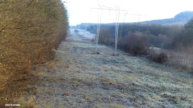 Косуля самец смотреть онлайн
