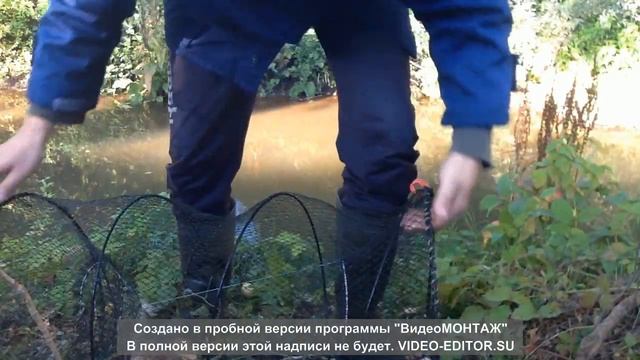 Как ловить на морду (вершу) или мои первый опыт.