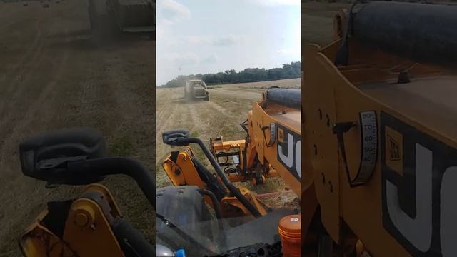 Заготовка сина смотреть онлайн